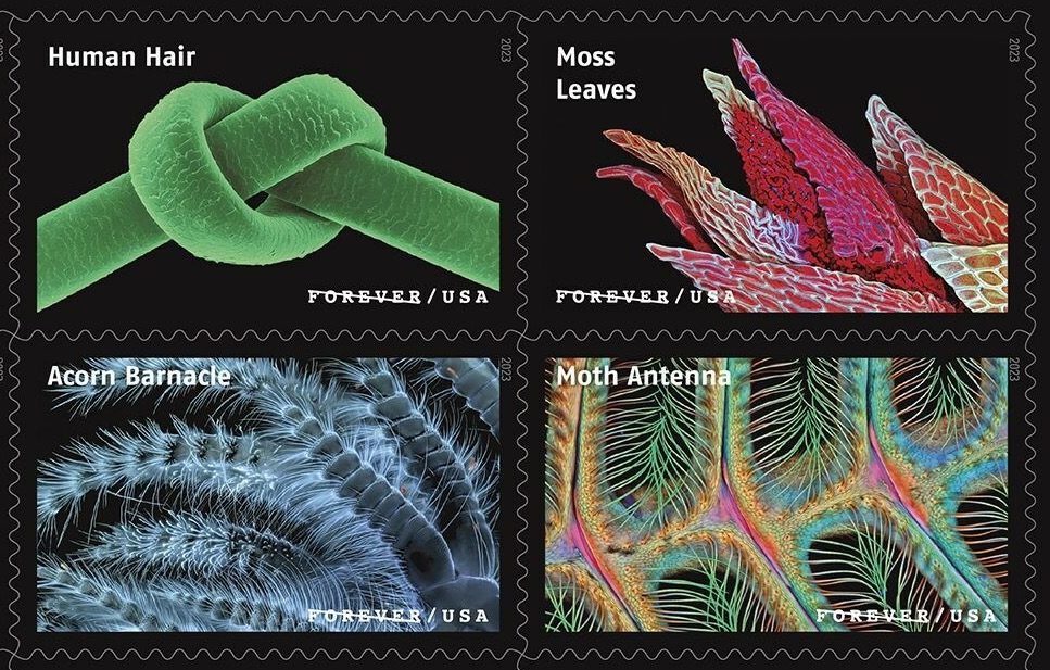 usps-magnifies-some-of-life-s-smallest-objects-onto-striking-stamps