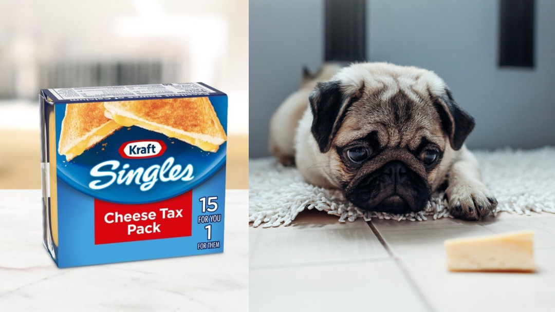 Kraft Singles Debuts ‘Cheese Tax Pack’ To Pay Pets Who Expect A Cut