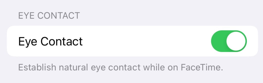 Apple IPhone Feature Lets You Fake Eye Contact On FaceTime DesignTAXI Com   4FAED63E A68B 4414 9715 9A1058EA9491 1674642795 