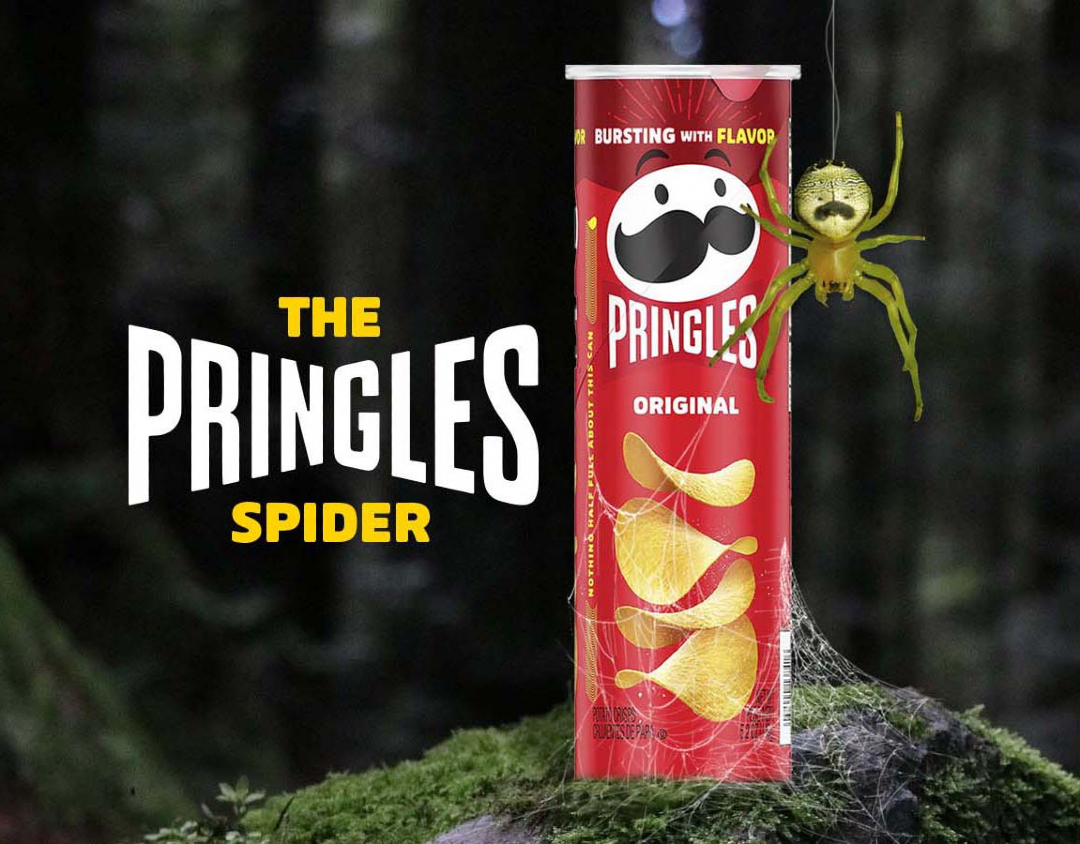Pringles Finds New Mascot Out In Nature In The Form Of A Mustachioed ...