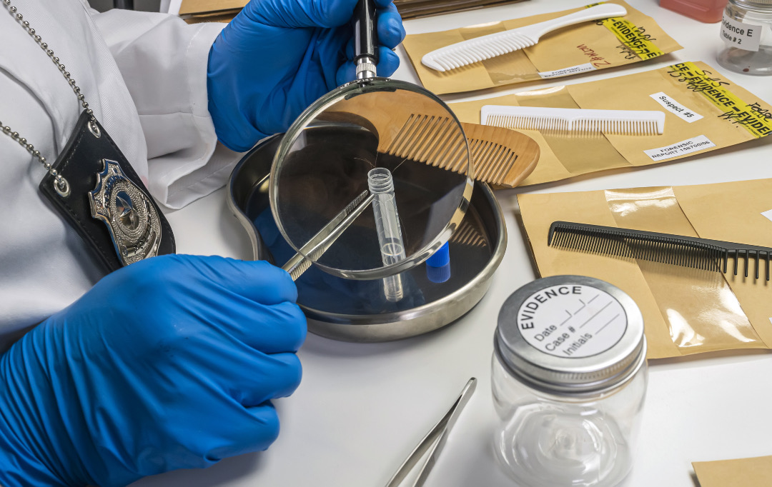 Hair Follicles Grow In Lab For First Time, The Root Of Future