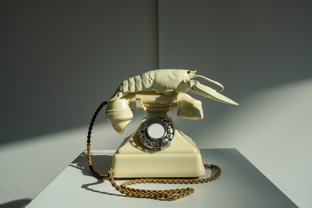 Ask-Salvador-Dali-Museum-Lobster-Telepho
