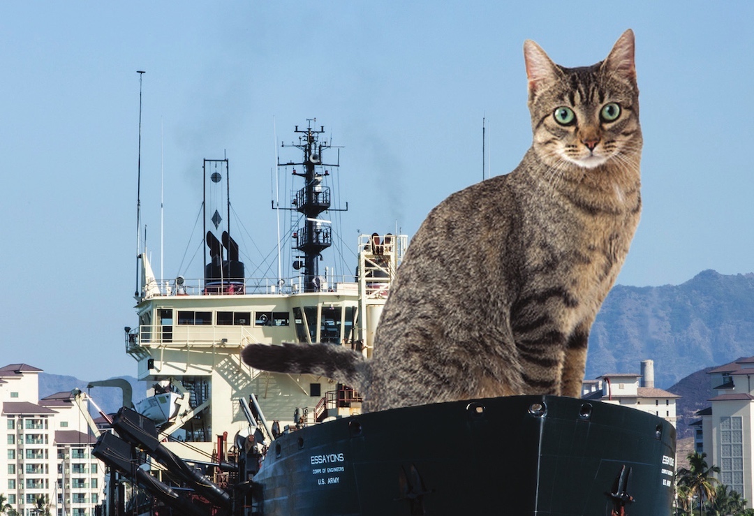us-army-corps-of-engineers-releases-2023-calendar-commandeered-by-giant-cats-designtaxi