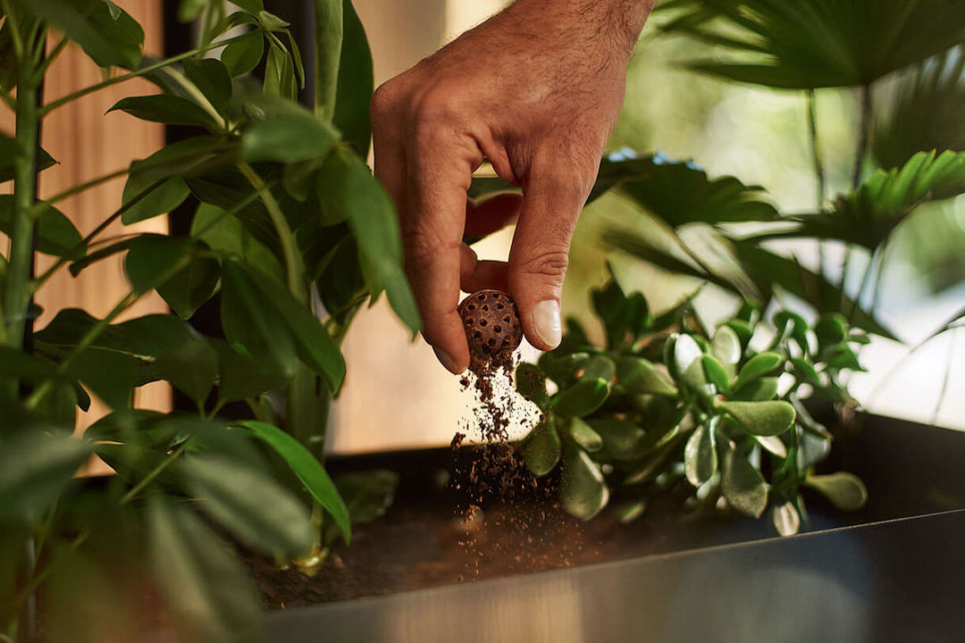SingleServe ‘Coffee Balls’ Replace Capsules To Put Waste To Slumber