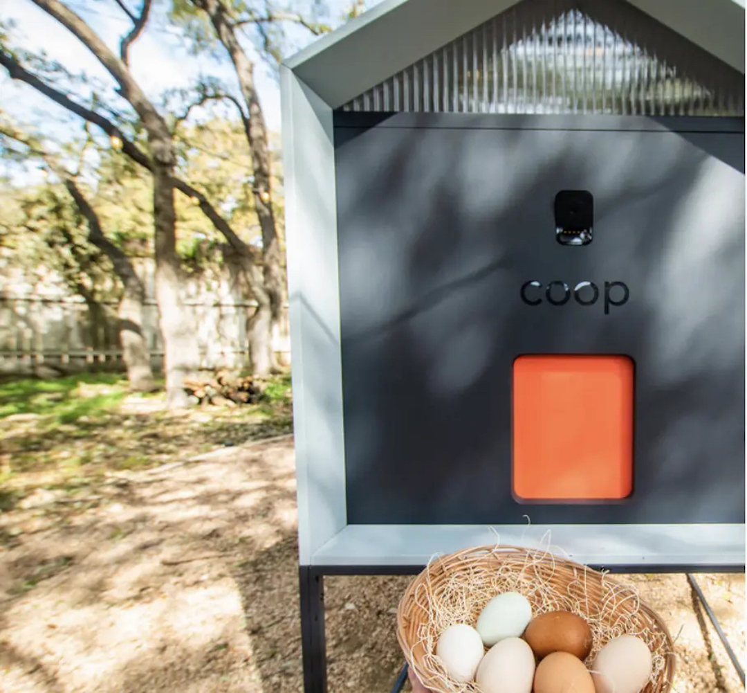 NewGen Chicken Coops Come Complete With NightVision Cameras, Alarms