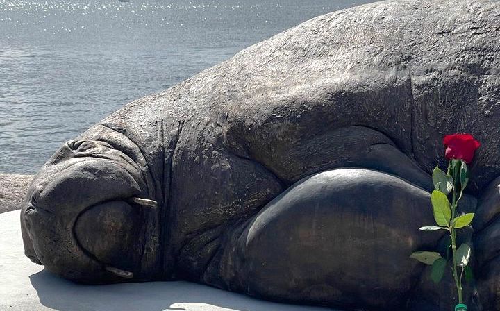 Euthanized Walrus Honored As Life-Size Statue Near Its Hangout Spot In