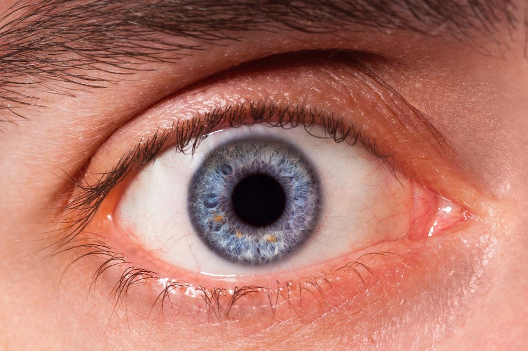 LabGrown Eye Cells Connect To ‘Neighbors’ In Step Toward Human Trials