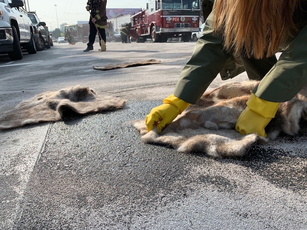 Human Hair Mats Can Be Used To Mop Up Oil Spills From Oceans & Roads ...