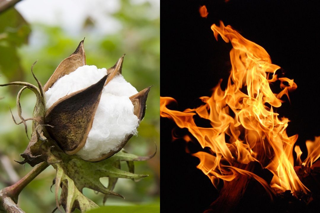 SelfExtinguishing Cotton Makes For More Resistant Clothes, Greener