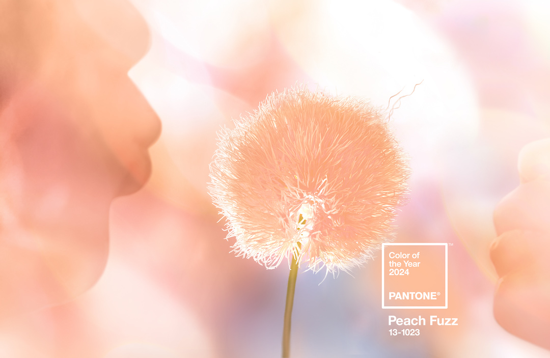 PANTONE-Color-of-the-Year-2024-Peach-Fuz