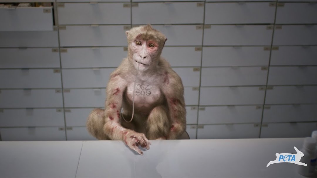 PETA-Animal-Testing-Ads-1-1700532490.jpg