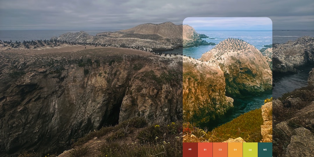 VSCO-Capture-Standalone-Mobile-App-1-175