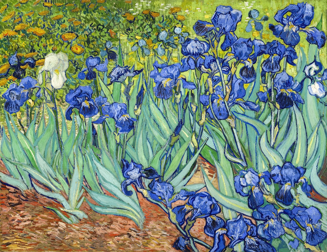 Vincent-Van-Gogh-Irises-Not-As-Blue-More