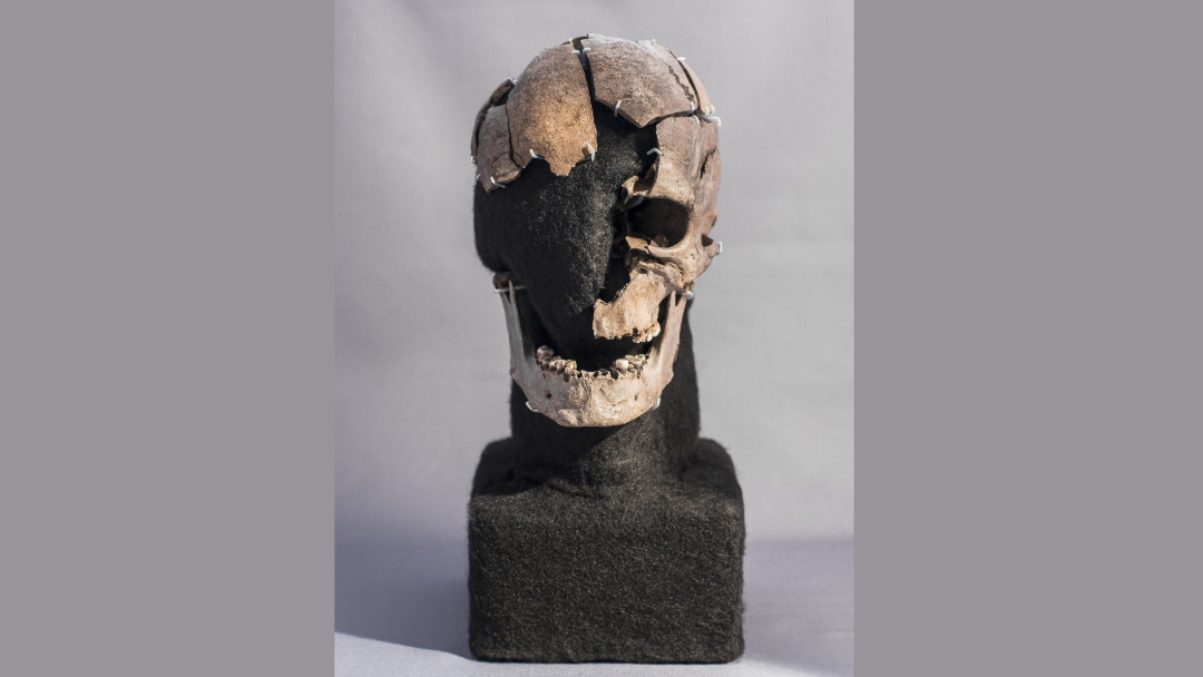 Vittrup-Man-Human-Sacrifice-Skull-1-1707