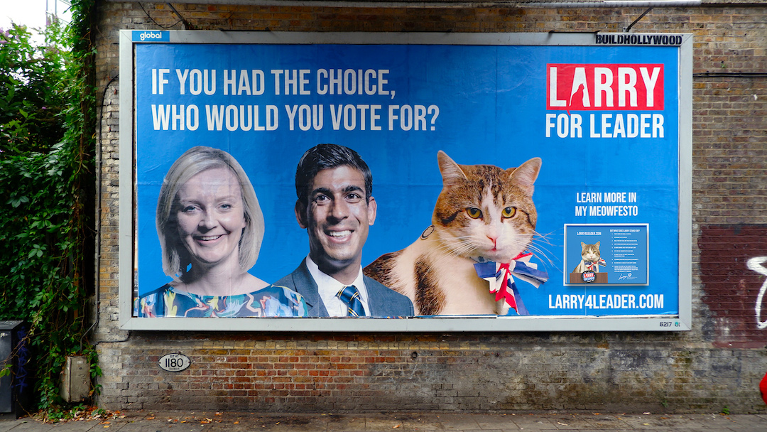 Larry The Cat Tries His Paw At Encouraging Votes With ‘Larry 4 Leader ...