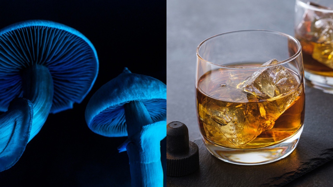 Psychedelic Mushrooms Found To Treat Alcohol Addiction, Researchers Say